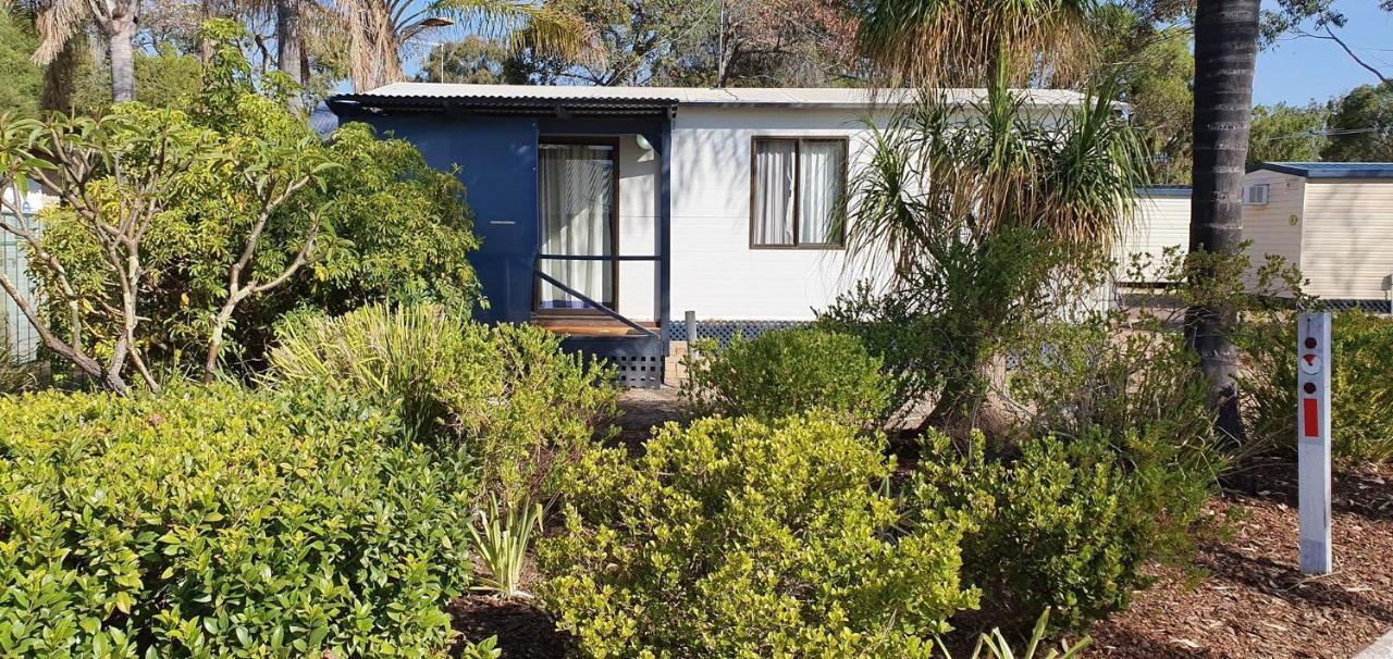 Pinjarra Caravan Park And Cabins Kültér fotó